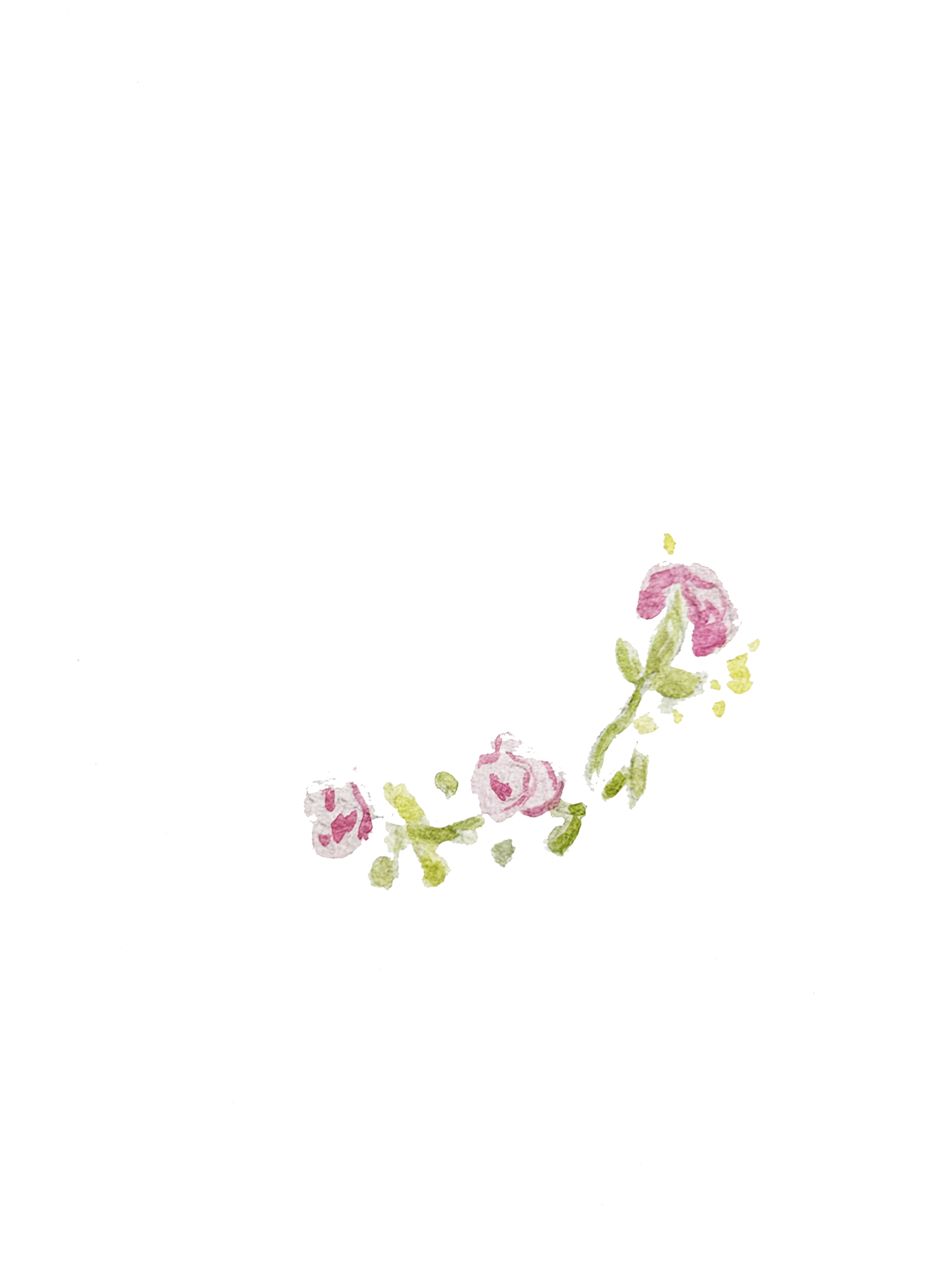 Flor direita